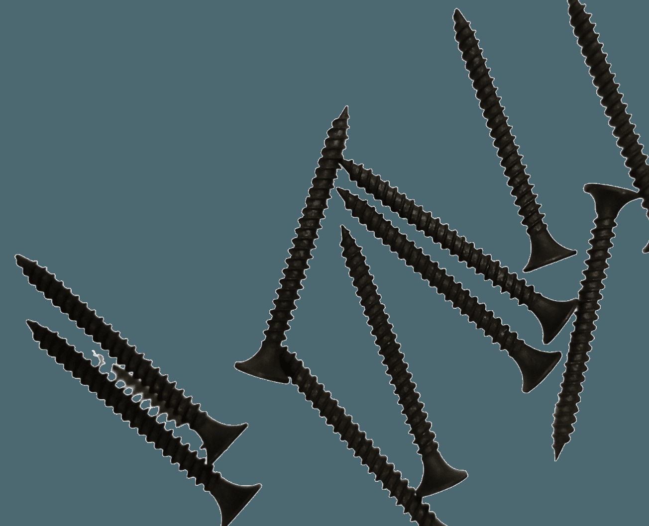 Vis noire, 2.5 × 3.5